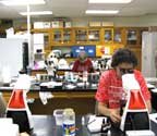 Working in Lab