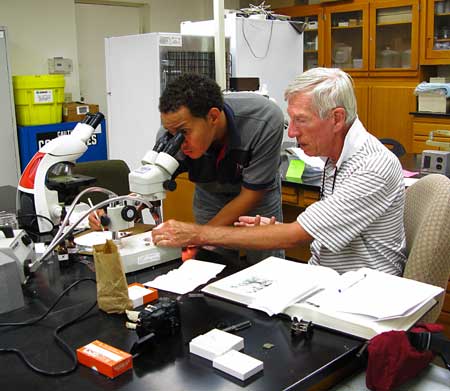 Studying Lichens in Lab