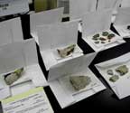 Lichen Specimen Packets