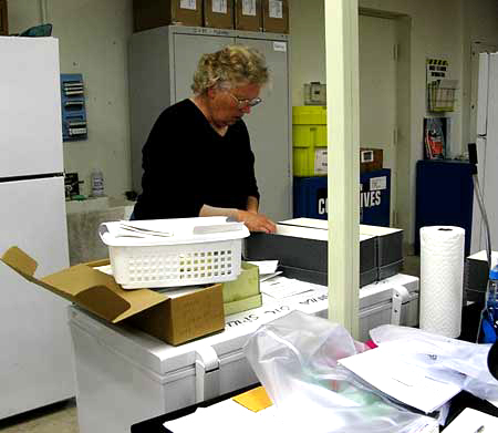 Filing Lichen Specimens