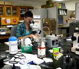 Klara sectioning lichen.