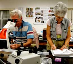 Klara sectioning lichen.