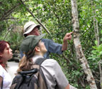 Rick, Dana and Jenny viewing lichens