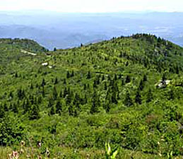 Section of Blue Ridge Parkway.