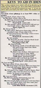 Section of Key To Identifying Brown And/Or White Wading Birds.