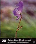 Photo of Columbian Monkshood as it appears in guide.