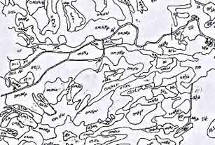 Attributed overlay of Infrared aerial photograph of Blue Ridge Parkway vegetation.