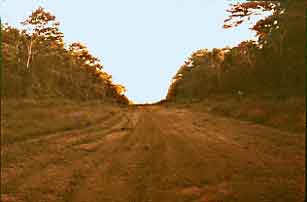 Grass airstrip at Sirena Biological Station, Corcovado National Park.