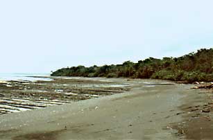 Beach, Corcovado National Park.