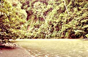 Rio Claro in Corcovado National Park, Costa Rica.