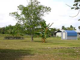 The shed is near the back and north boundaries of the property. There 