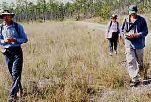 Prairie habitat in University of Miami weekend Everglades advanced ecology course.