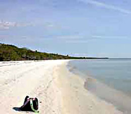 Middle Cape looking east.