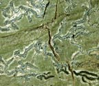 Phaeographis scalpturata
